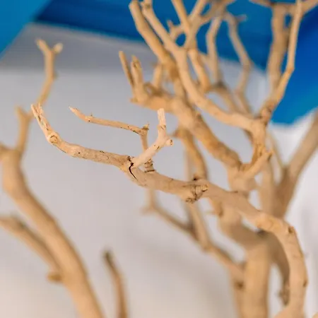 Дом отдыха Sunny Getaway In Mykonos Lia Калафатис