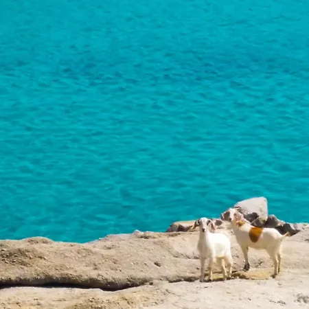 Дом отдыха Sunny Getaway In Mykonos Lia