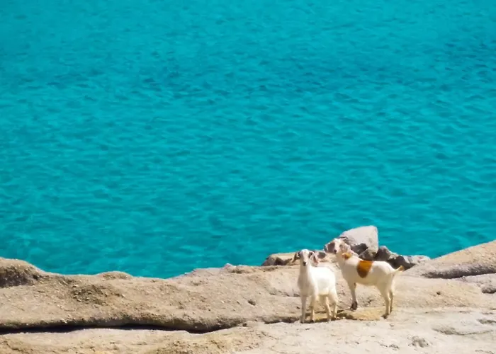 Σπίτι διακοπών Sunny Getaway In Mykonos Lia